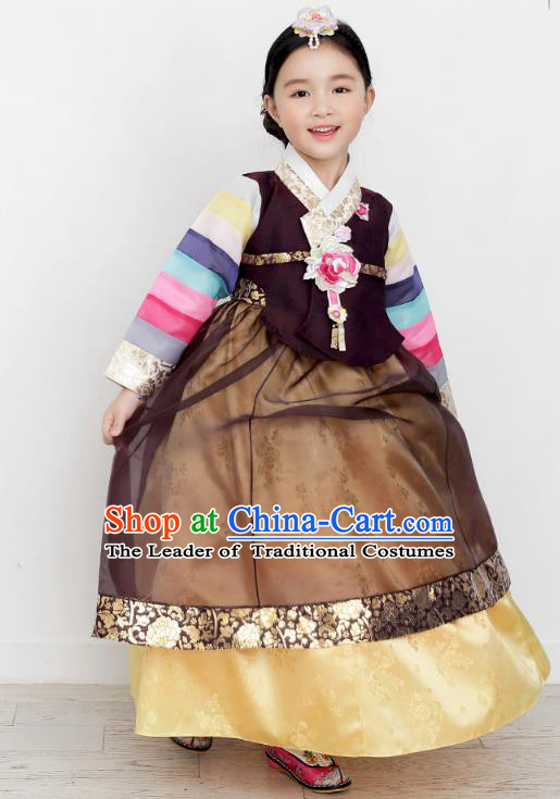 Asian Korean National Handmade Formal Occasions Wedding Clothing Purple Blouse and Brown Dress Palace Hanbok Costume for Kids