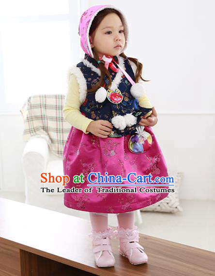 Asian Korean National Handmade Formal Occasions Wedding Bride Clothing Navy Vest and Rosy Dress Palace Hanbok Costume for Kids