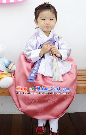 Asian Korean National Handmade Formal Occasions Clothing Embroidered Lilac Blouse and Pink Dress Palace Hanbok Costume for Kids