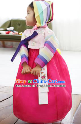 Asian Korean National Handmade Formal Occasions Clothing Embroidered Pink Blouse and Rosy Dress Palace Hanbok Costume for Kids
