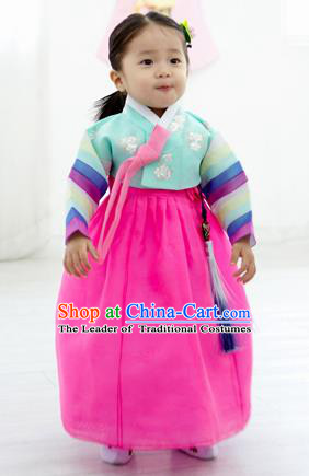 Asian Korean National Handmade Formal Occasions Clothing Embroidered Blue Blouse and Rosy Dress Palace Hanbok Costume for Kids