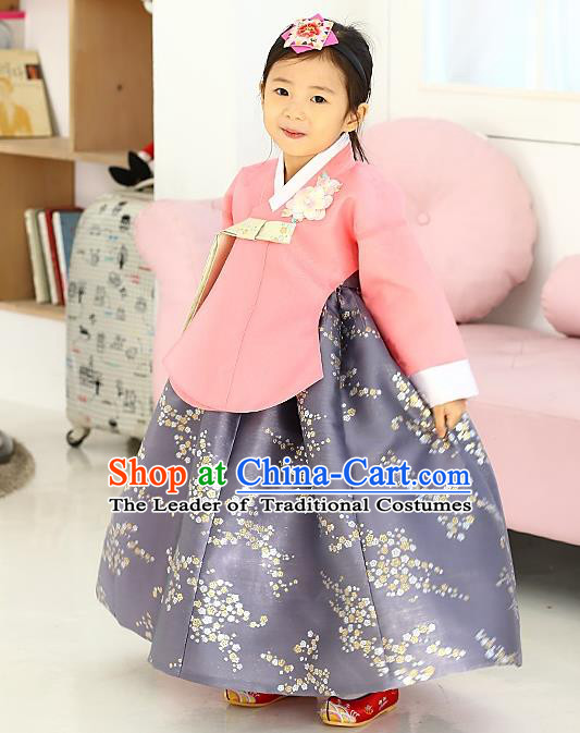 Korean National Handmade Formal Occasions Girls Hanbok Costume Embroidered Pink Blouse and Grey Dress for Kids