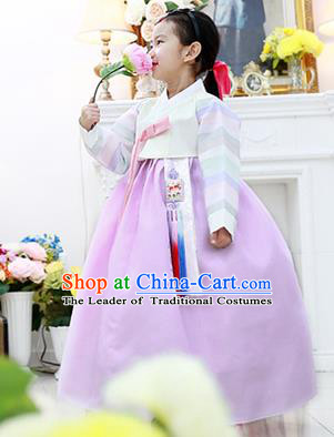 Korean National Handmade Formal Occasions Girls Hanbok Costume Embroidered White Blouse and Purple Dress for Kids