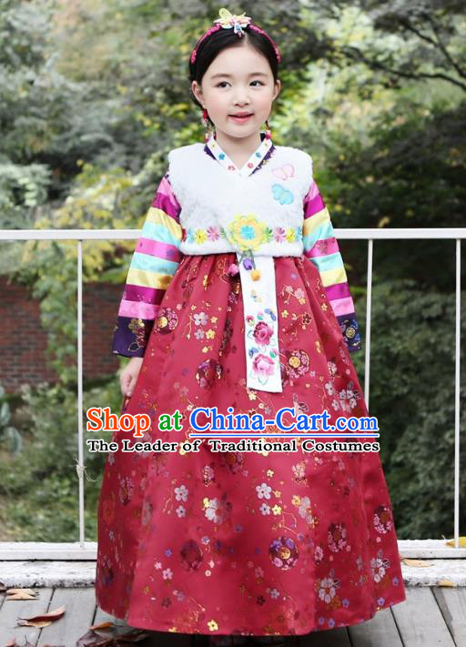 Korean National Handmade Formal Occasions Girls Hanbok Costume Embroidered White Vest and Red Dress for Kids