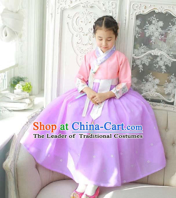 Asian Korean National Handmade Formal Occasions Wedding Girls Clothing Embroidered Pink Blouse and Purple Dress Palace Hanbok Costume for Kids