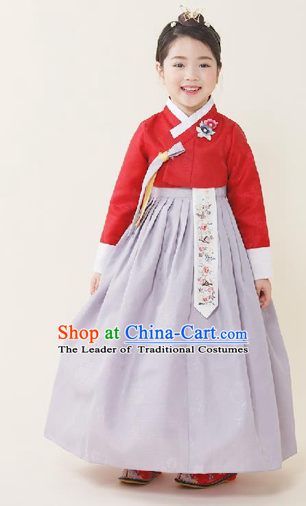 Asian Korean National Handmade Formal Occasions Wedding Girls Clothing Embroidered Red Blouse and Lilac Dress Palace Hanbok Costume for Kids