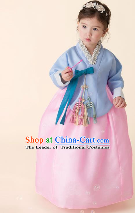 Asian Korean National Handmade Formal Occasions Wedding Girls Clothing Embroidered Blue Blouse and Pink Dress Palace Hanbok Costume for Kids