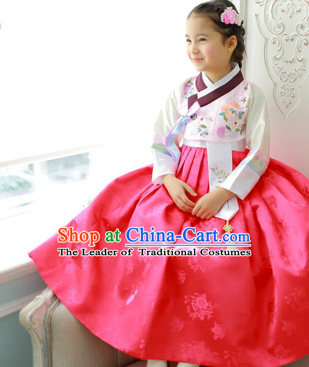 Asian Korean National Handmade Formal Occasions Wedding Girls Clothing Embroidered White Blouse and Red Dress Palace Hanbok Costume for Kids