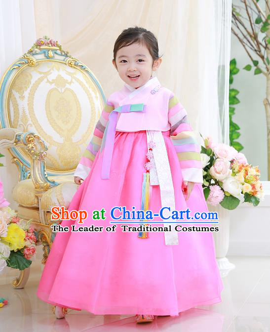 Asian Korean National Handmade Formal Occasions Wedding Girls Clothing Embroidered Blouse and Pink Dress Palace Hanbok Costume for Kids