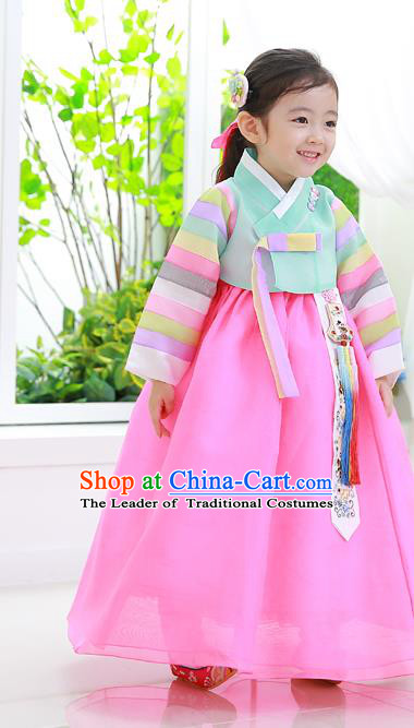 Korean National Handmade Formal Occasions Girls Clothing Palace Hanbok Costume Embroidered Green Blouse and Pink Dress for Kids