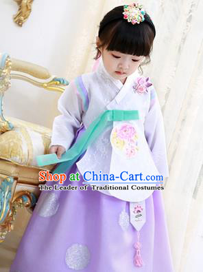 Korean National Handmade Formal Occasions Girls Clothing Palace Hanbok Costume Embroidered White Lace Blouse and Purple Dress for Kids