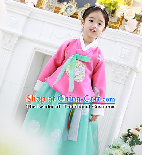Korean National Handmade Formal Occasions Girls Clothing Palace Hanbok Costume Embroidered Pink Blouse and Green Dress for Kids