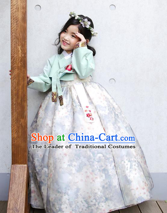 Traditional Korean National Handmade Formal Occasions Girls Clothing Palace Hanbok Costume Embroidered Green Blouse and White Dress for Kids