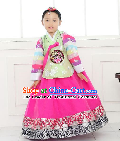 Traditional Korean National Handmade Formal Occasions Girls Clothing Palace Hanbok Costume Embroidered Green Blouse and Rosy Dress for Kids