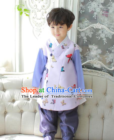 Asian Korean National Traditional Handmade Formal Occasions Boys Printing Butterfly Lilac Vest Hanbok Costume Complete Set for Kids