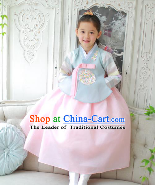 Traditional Korean National Handmade Formal Occasions Girls Clothing Palace Hanbok Costume Embroidered Blue Blouse and Pink Dress for Kids