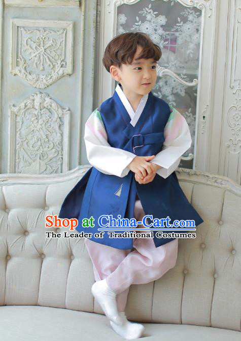 Traditional Asian Korean National Handmade Formal Occasions Boys Embroidery Deep Blue Vest Hanbok Costume Complete Set for Kids