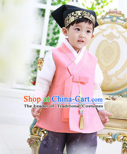 Asian Korean National Traditional Handmade Formal Occasions Boys Embroidery Clothing Pink Vest Hanbok Costume Complete Set for Kids