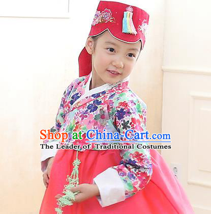 Traditional Korean Hanbok Clothing Fashion Apparel Hanbok Costume and Headwear