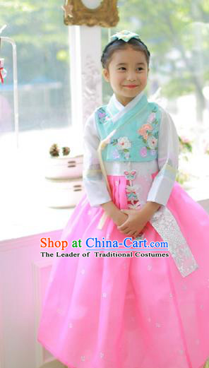 Traditional Korean Handmade Hanbok Embroidered Clothing, Asian Korean Fashion Apparel Hanbok Embroidery Costume for Kids