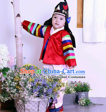 Traditional Korean Handmade Formal Occasions Embroidered Palace Prince Hanbok Red Clothing for Kids