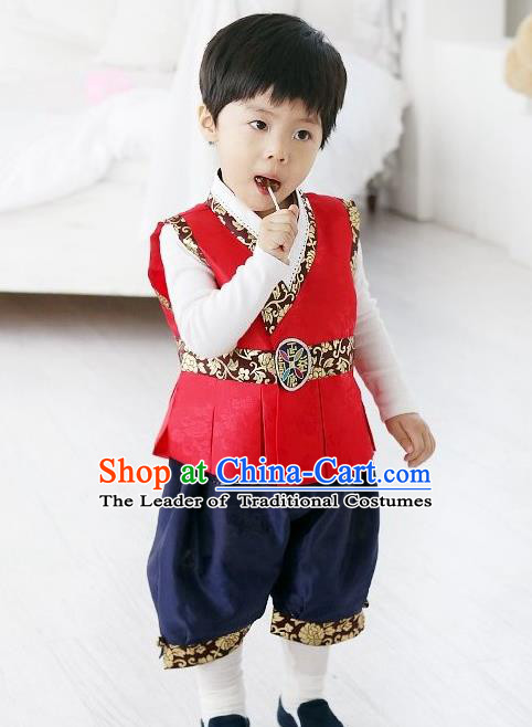Traditional Korean Handmade Formal Occasions Costume Vest and Pants, Asian Korean Apparel Hanbok Clothing for Boys