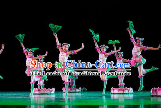 Traditional Chinese Yangge Fan Dancing Costume Modern Dance Dress Clothing and Headwear