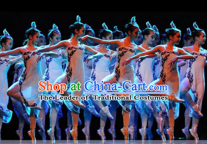 Traditional Chinese Classic Stage Performance Dance Costume, Chinese Ballet Dance Clothing for Women