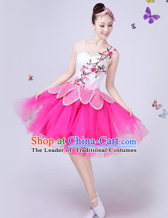Traditional Chinese Yangge Fan Dancing Costume Classical Dance Modern Dance Dress Clothing