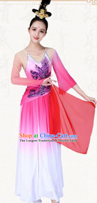 Chinese Traditional Classical Dance Pink Dress Ancient Group Dance Costumes for Women