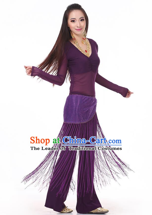 Asian Indian Belly Dance Purple Costume Stage Performance India Raks Sharki Dress for Women