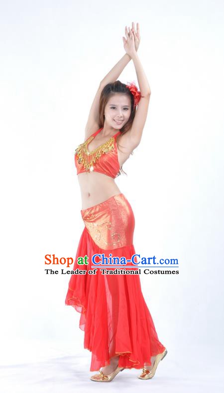 Asian Indian Traditional Belly Dance Costume India Oriental Dance Red Dress for Women
