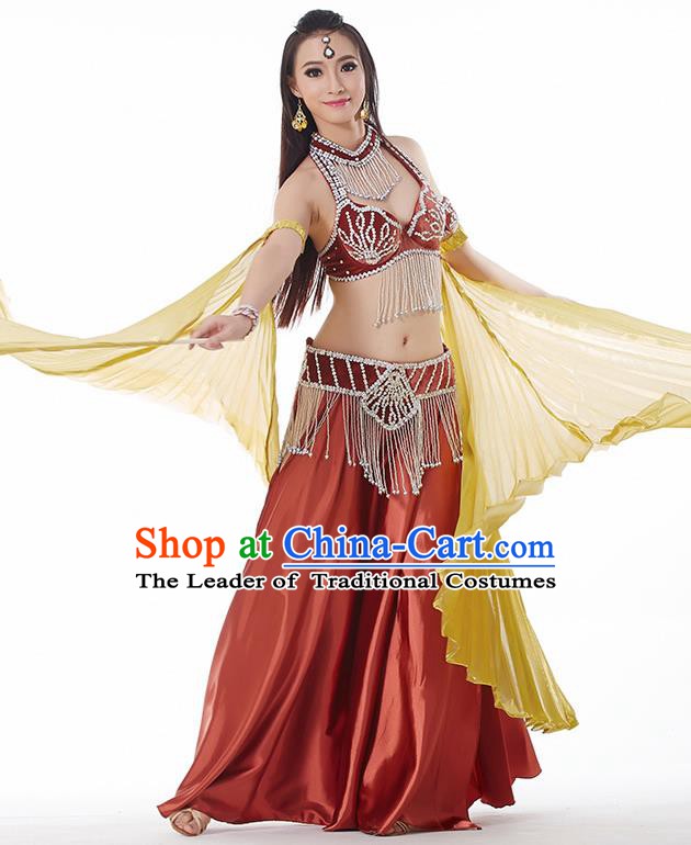 Traditional India Oriental Bollywood Dance Velvet Costume Indian Belly Dance Brownish Red Dress for Women