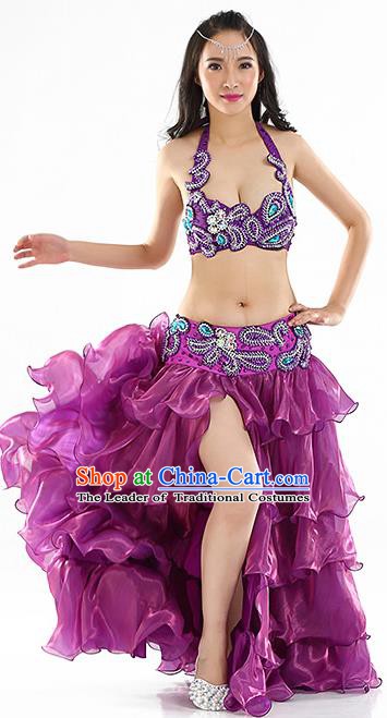 Indian Traditional Belly Dance Performance Purple Dress Classical Oriental Dance Costume for Women