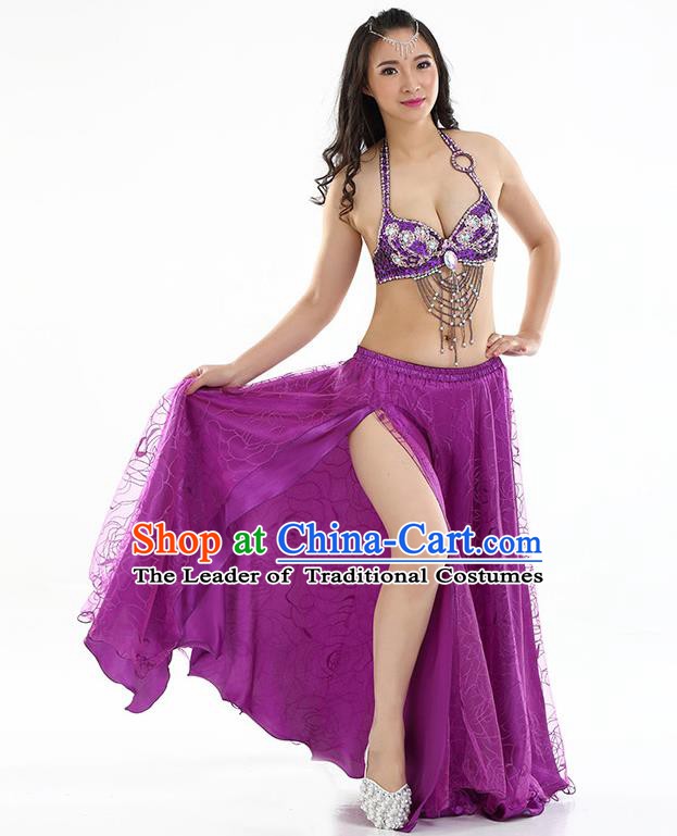 Top Grade Bollywood Belly Dance Purple Dress Indian Raks Sharki Oriental Dance Clothing for Women