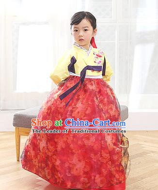 Traditional Korean Hanbok Clothing Fashion Apparel Hanbok Costumes