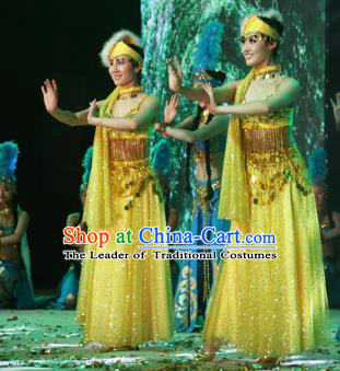 Traditional Chinese Uyghur Nationality Dance Costume, Folk Dance Ethnic Minority Uigurian Dance Clothing for Women
