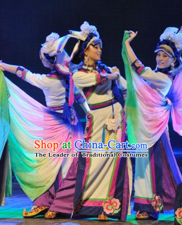 Chinese Traditional Folk Dance Stage Performance Costume, China Classical Dance Dress Clothing for Women