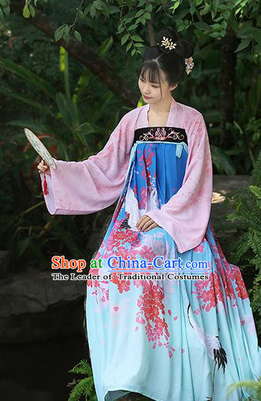 Chinese Ancient Peri Printing Crane Blue Hanfu Dress Tang Dynasty Princess Costumes for Rich Women