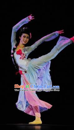 Chinese Traditional Classical Dance Costumes Stage Performance Folk Dance Dress for Women