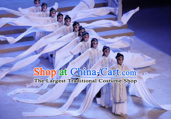 Chinese Traditional Classical Dance Group Dance Costumes Beijing Opera Stage Performance White Dress for Women
