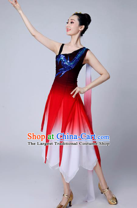 Chinese Traditional Classical Dance Costumes Stage Performance Dance Dress for Women