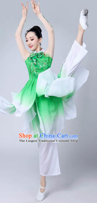 Chinese Traditional Classical Dance Costumes Stage Performance Dance Green Dress for Women