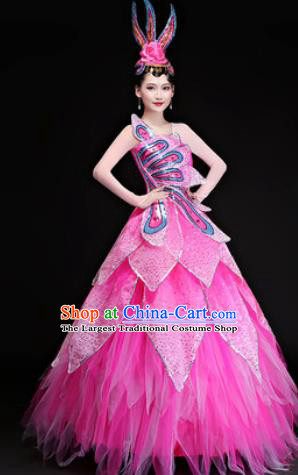 Professional Modern Dance Costumes Opening Dance Stage Show Pink Veil Dress for Women