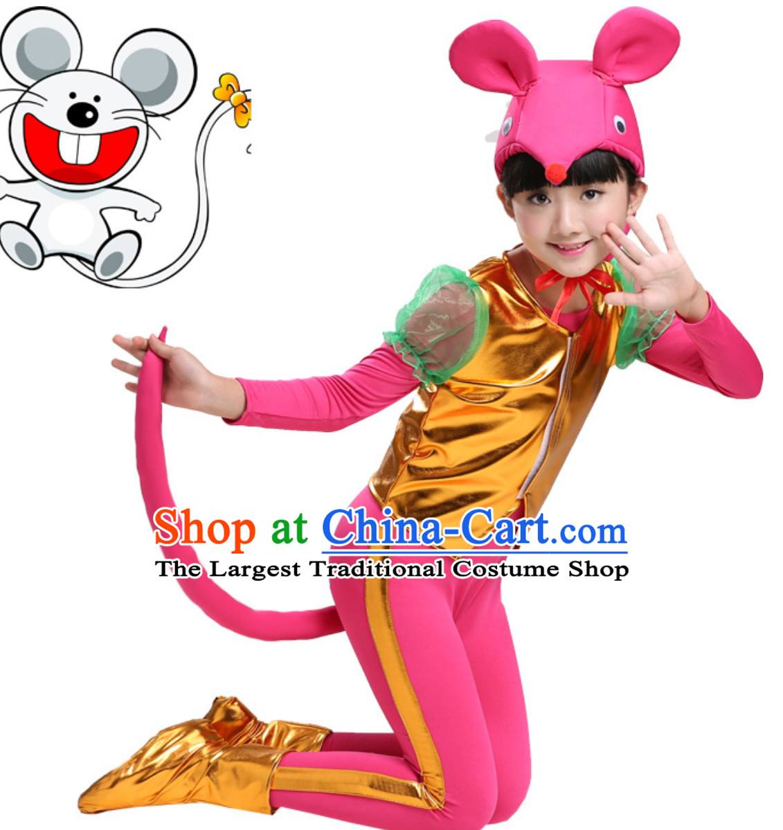 Chinese Lunar New Year Celebration Rat Year Mouse Dance Costume Complete Set