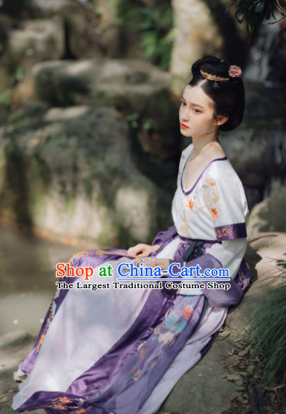 Traditional Chinese Tang Dynasty Court Lady Replica Costumes Ancient Royal Princess Hanfu Dress for Women
