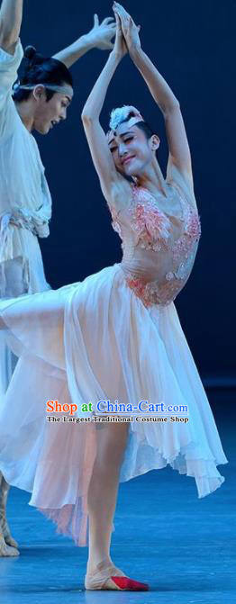 Crested Ibises Chinese Classical Dance White Dress Stage Performance Dance Costume and Headpiece for Women
