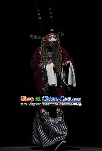 Su Wu In Desert Chinese Beijing Opera Official Clothing Stage Performance Dance Costume and Headpiece for Men