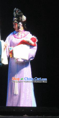 Su Wu In Desert Chinese Peking Opera Diva Pink Dress Stage Performance Dance Costume and Headpiece for Women