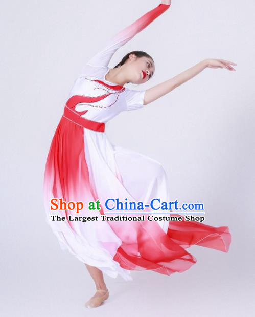 Chinese Traditional National Dance Clothing Classical Dance Red Costume for Women